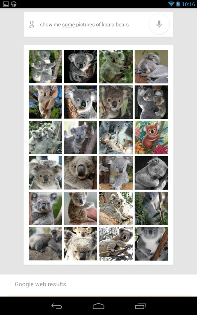 Google Search in Jelly Bean returning pictures of koala bears